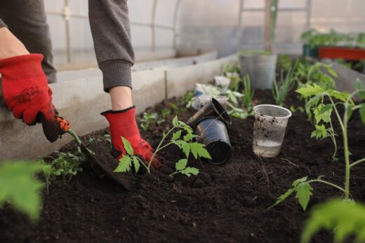 Logiciel&#x20;de&#x20;cr&#x00E9;ation&#x20;de&#x20;jardin&#x20;&#x3A;&#x20;cr&#x00E9;ez&#x20;votre&#x20;espace&#x20;ext&#x00E9;rieur&#x20;sans&#x20;bouger&#x20;de&#x20;chez&#x20;vous